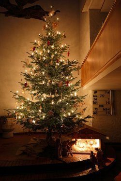 Gottesdienste an Weihnachten