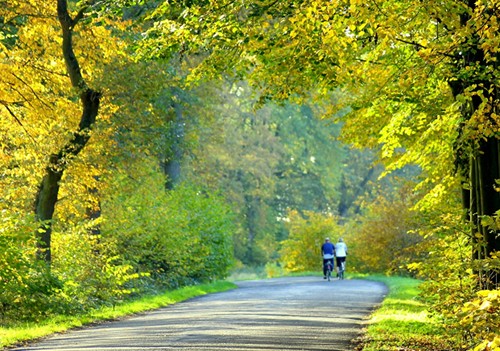 Seelsorge und Begleitung