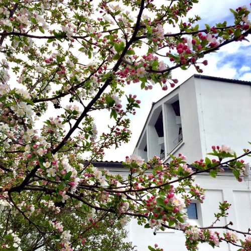 Kirche Traunreut Klimaschutz