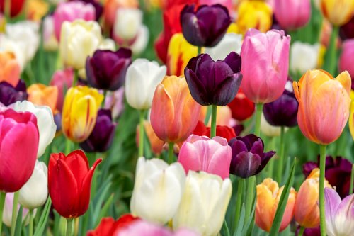 Ostern Gottesdienst Traunreut