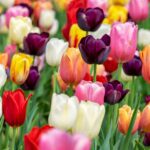 Ostern Gottesdienst Traunreut